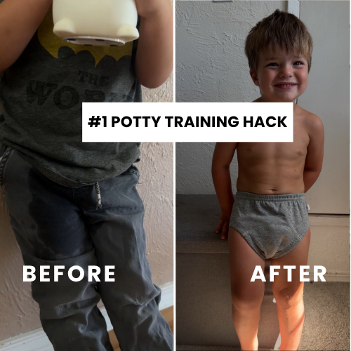 Ultimate Potty Training Undies Kit